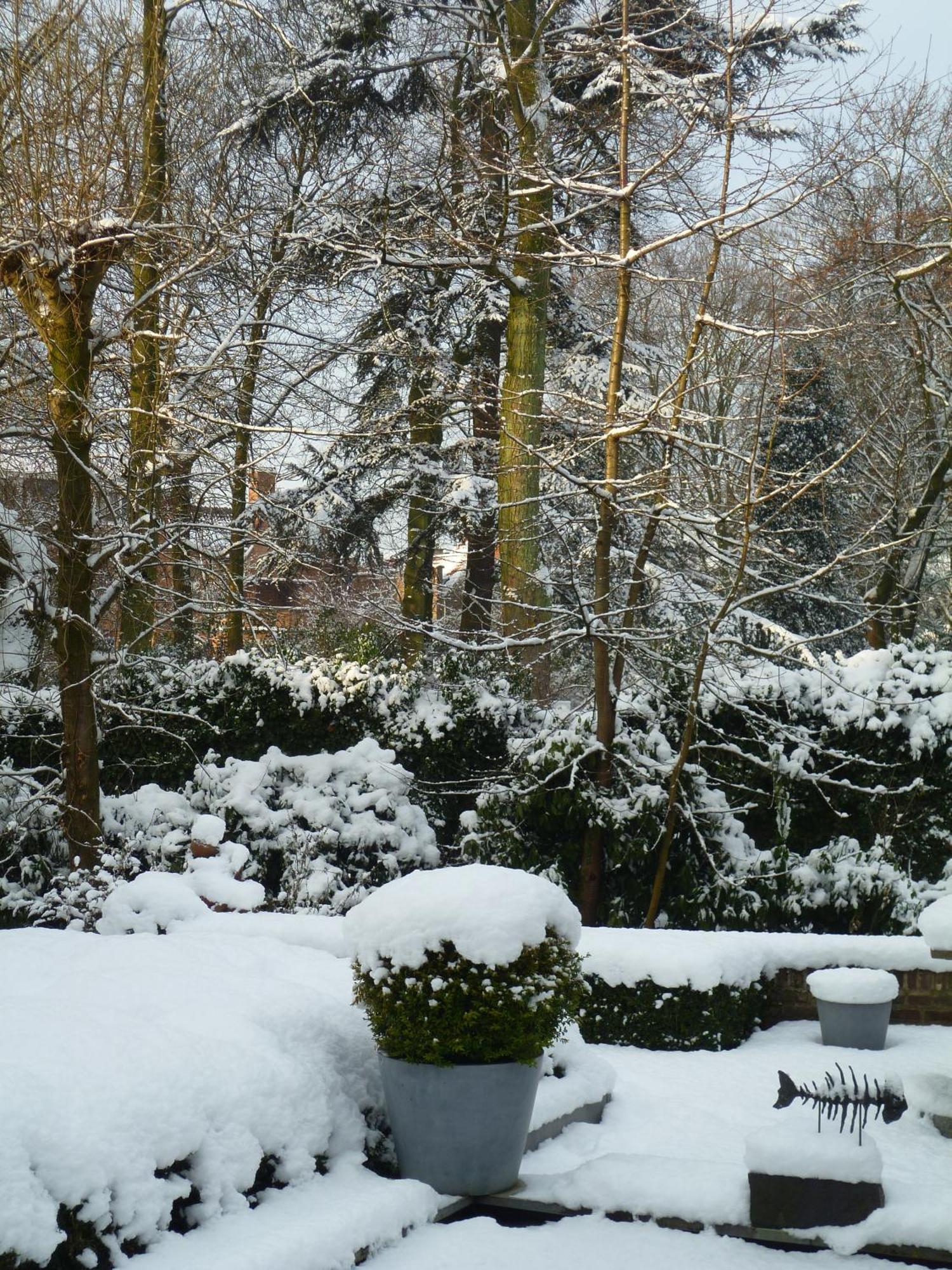 Speelmansrei 4* Bruges